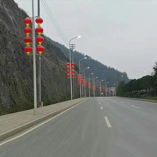 广东省梅州市中国结亮化工程